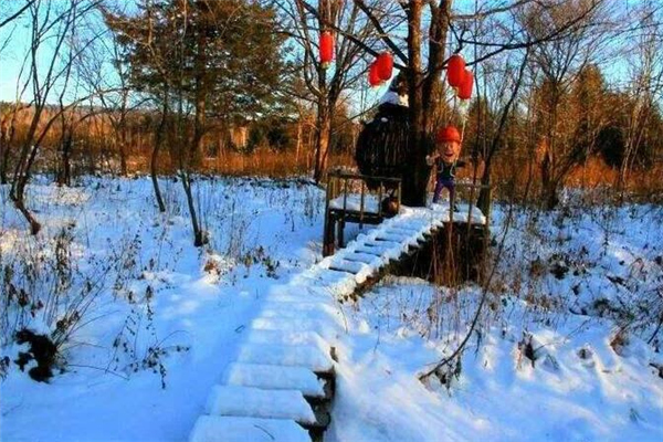 《踏雪寻美》初中写景700字作文