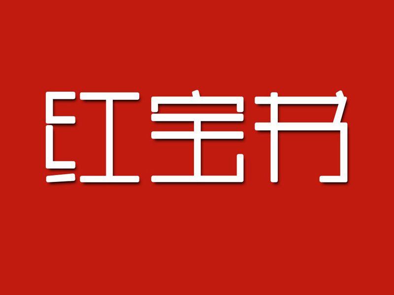 《红宝书》读后感800字,读后感作文