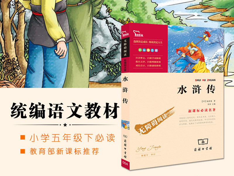 《水浒传》读后感800字-好汉还是强盗,读后感作文