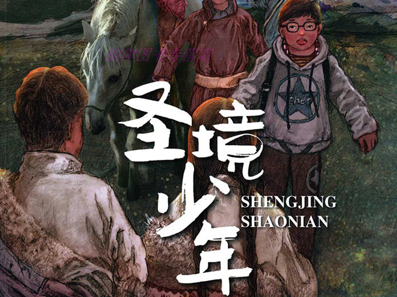 《圣境少年》读后感800字,读后感作文