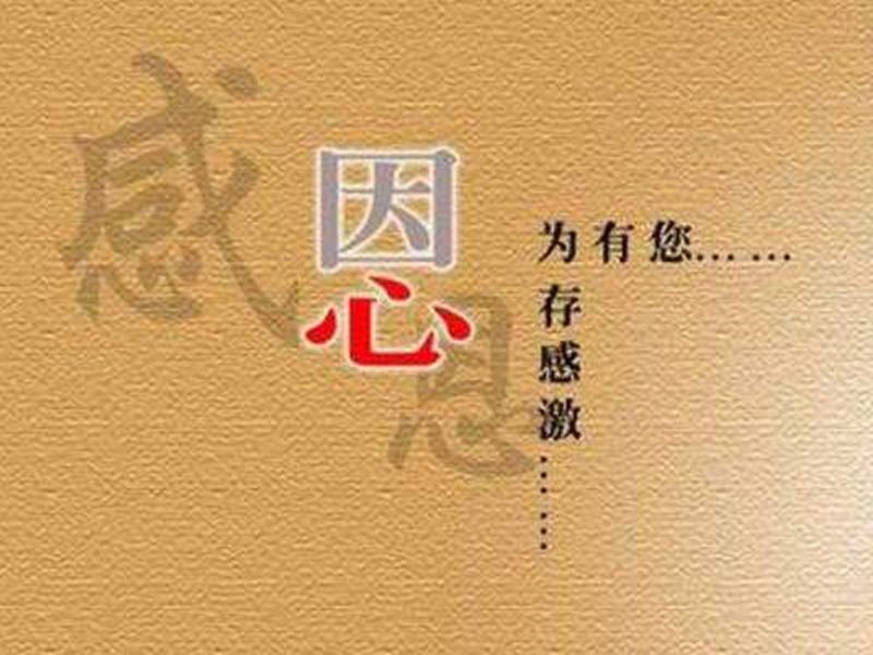 《感谢遇见》作文800字,初中写人抒情作文三篇