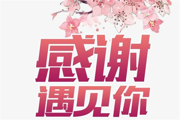 楼兰文字之谜-古墓地神奇魔力