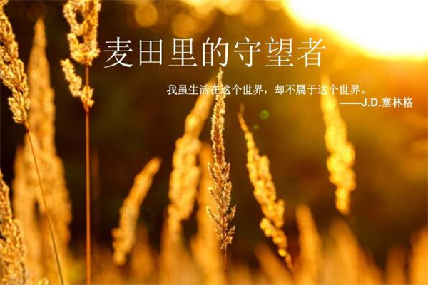 《麦田里的守望者》读后感,初中读后感作文800字