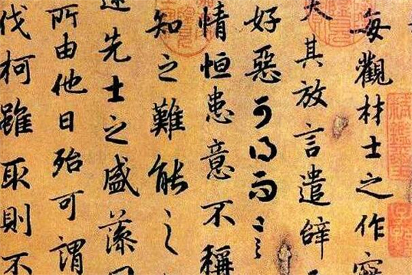 《文赋》读后感,初中读后感作文800字