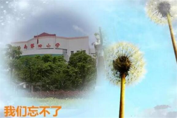 《写给母校的一封信》作文,小学母爱抒情作文800字