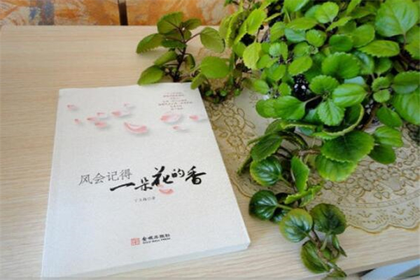 《风会记得一朵花的香》读后感,初中读后感作文800字