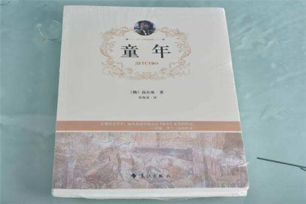 《童年》读后感,初中读后感作文800字