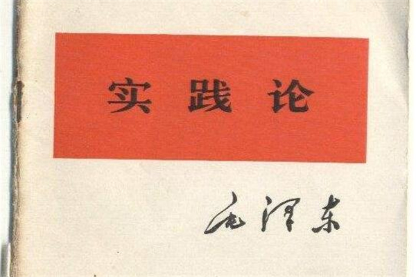 《实践论》读后感,初中读后感作文800字