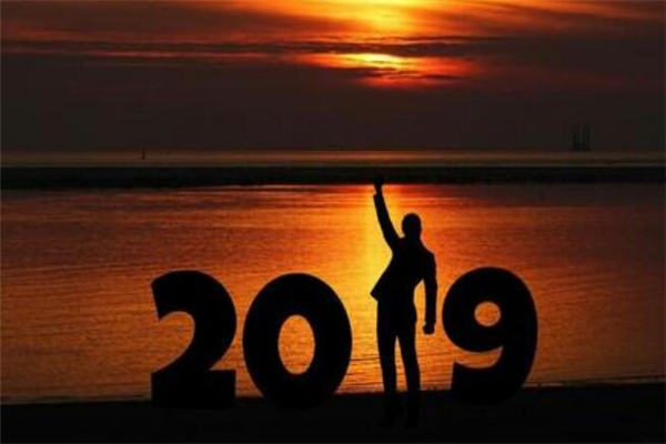 《回望2019》作文,初中作文800字