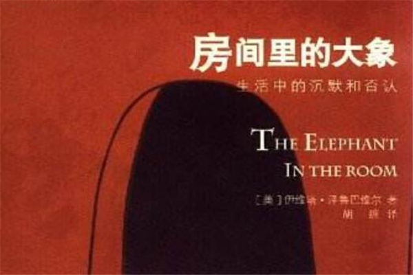 《房间里的大象》读后感,初中读后感作文800字