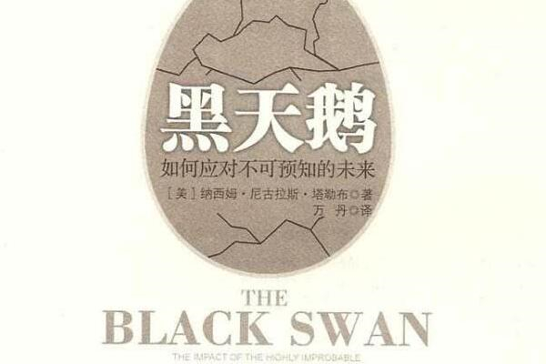 《黑天鹅》读后感,初中读后感作文800字