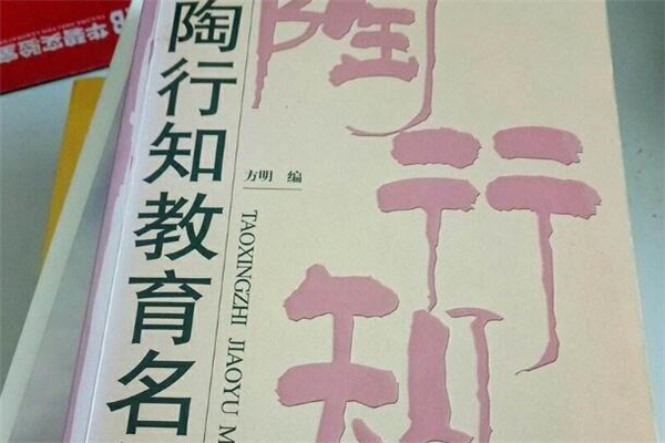 《陶行知教育名篇》读后感,初中读后感作文800字