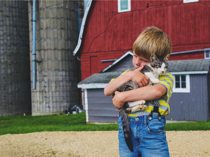 四十岁造句,用四十岁怎么造句子(130句)