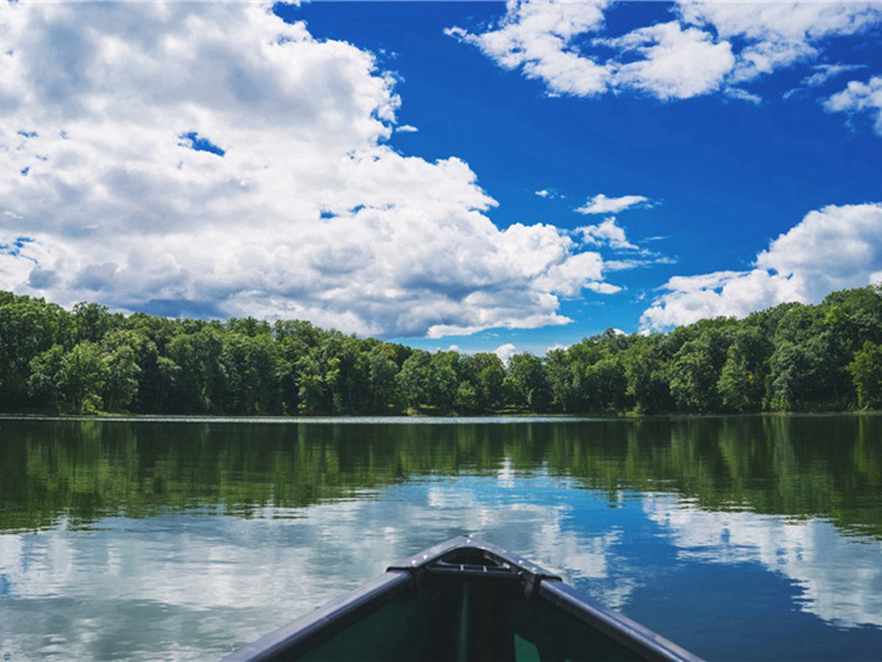 利息造句,利息怎么造句子(180句)