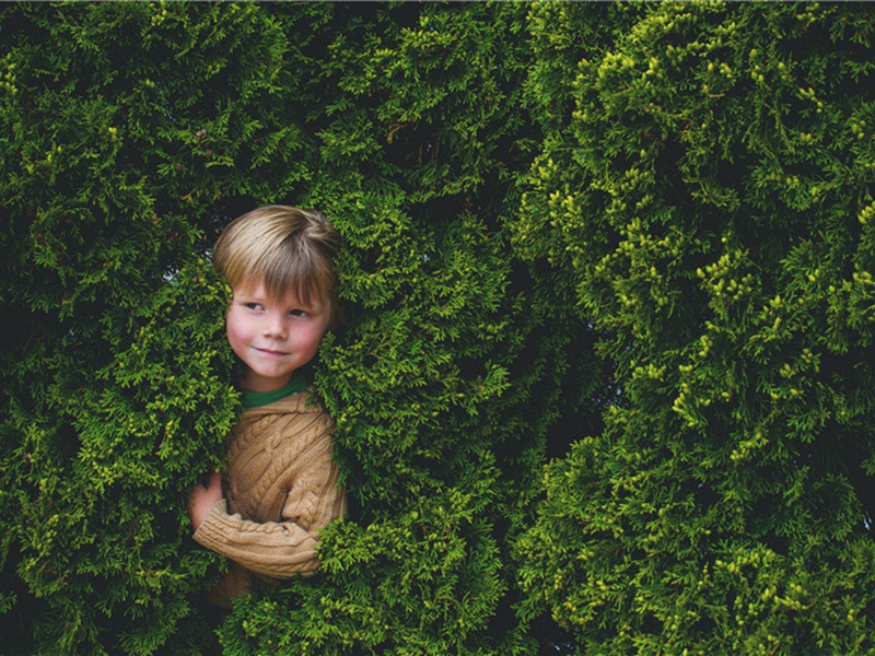 凸显出造句,用凸显出怎么造句子(37句)