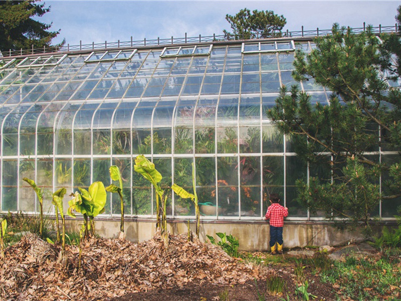 安葬造句,安葬怎么造句子(166句)