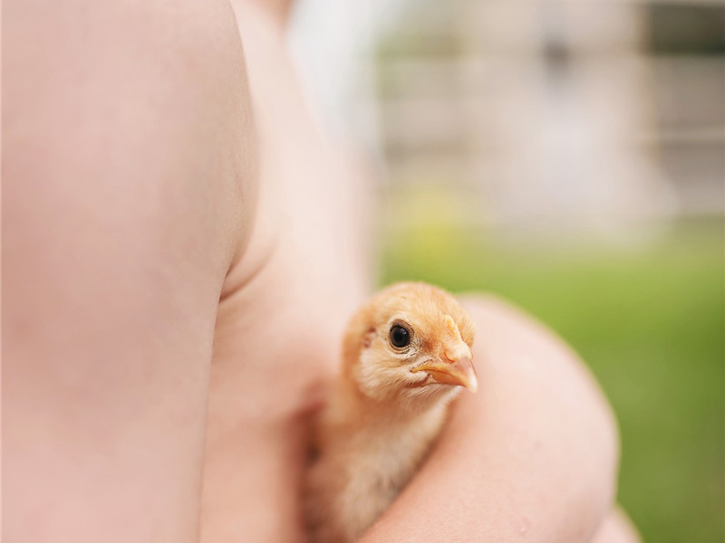 里海造句,用里海怎么造句子(114句)