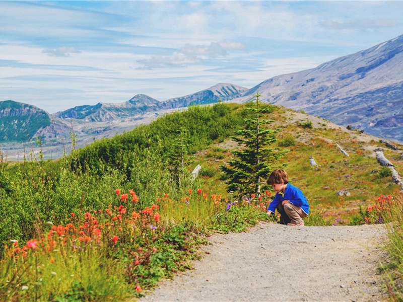 洋货造句,用洋货怎么造句子(41句)