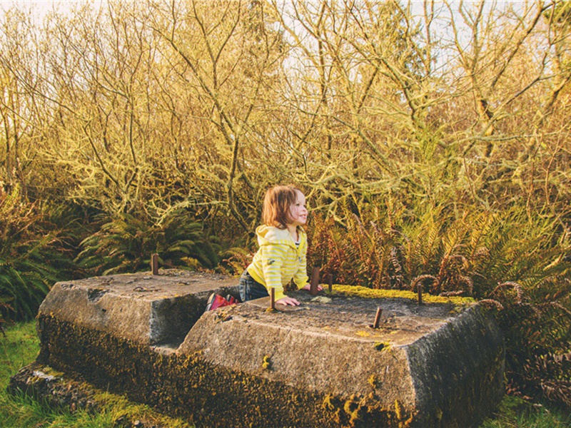 贩子造句,用贩子怎么造句子(180句)