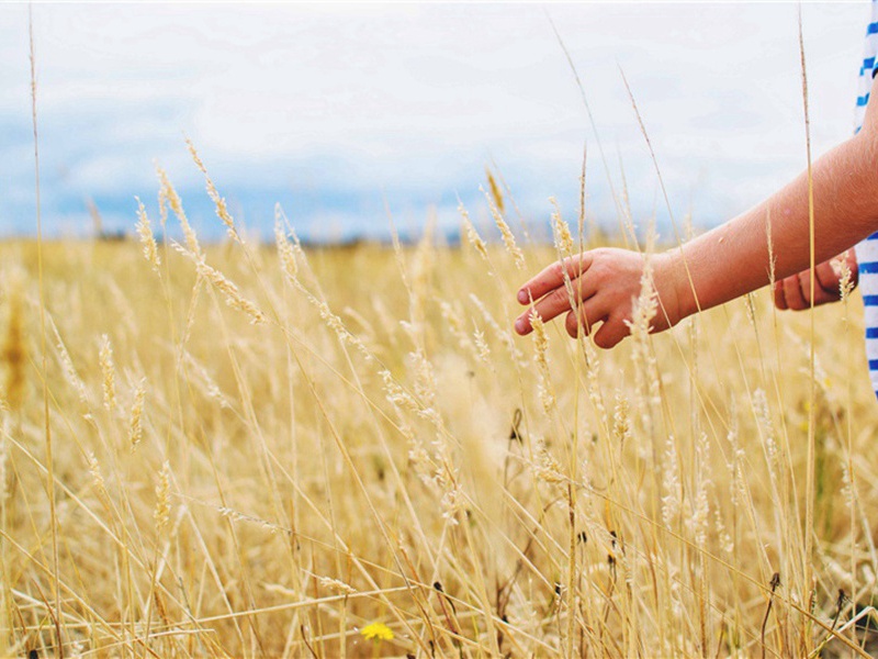还去造句,用还去怎么造句子(81句)