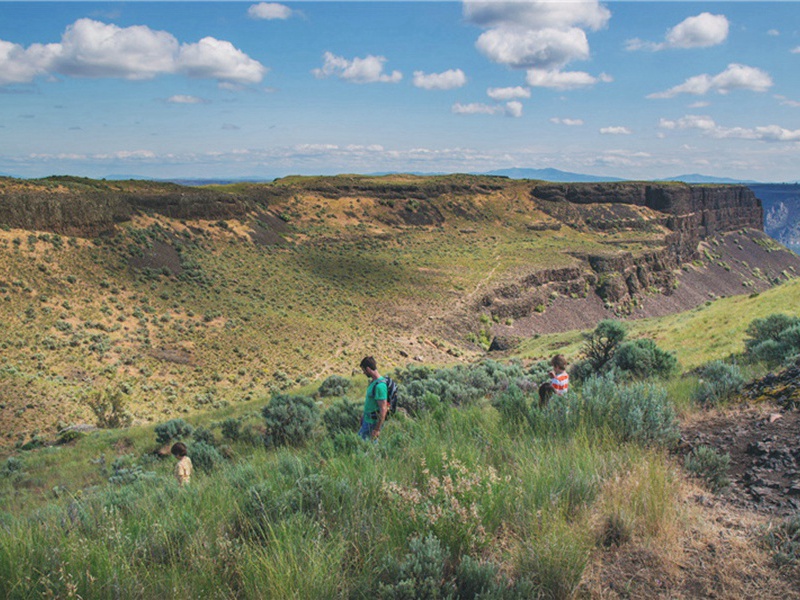 数以百计造句,数以百计怎么造句子(87句)