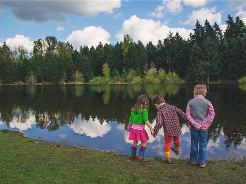 根上造句,用根上怎么造句子(41句)