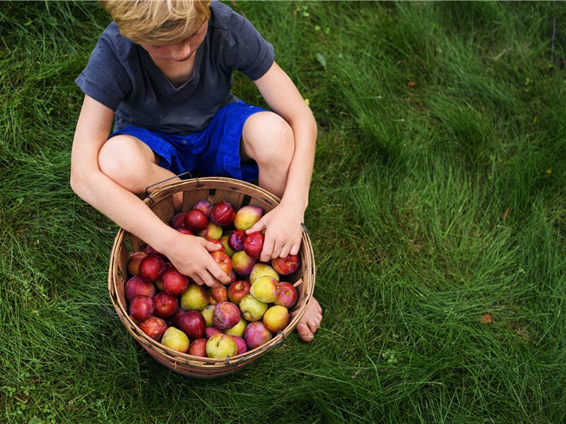 毒雾造句,用毒雾怎么造句子(19句)