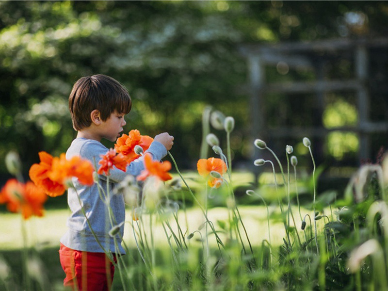 内陆地区造句,用内陆地区怎么造句子(19句)