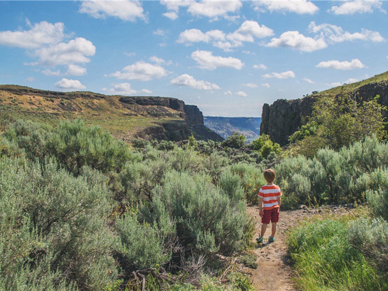 即是造句,即是怎么造句子(178句)