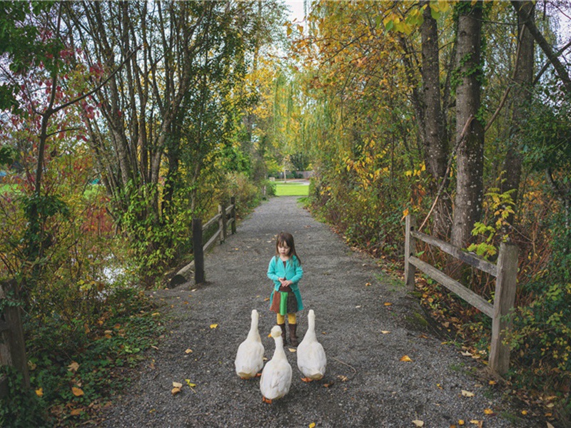 适应环境造句,用适应环境怎么造句子(65句)