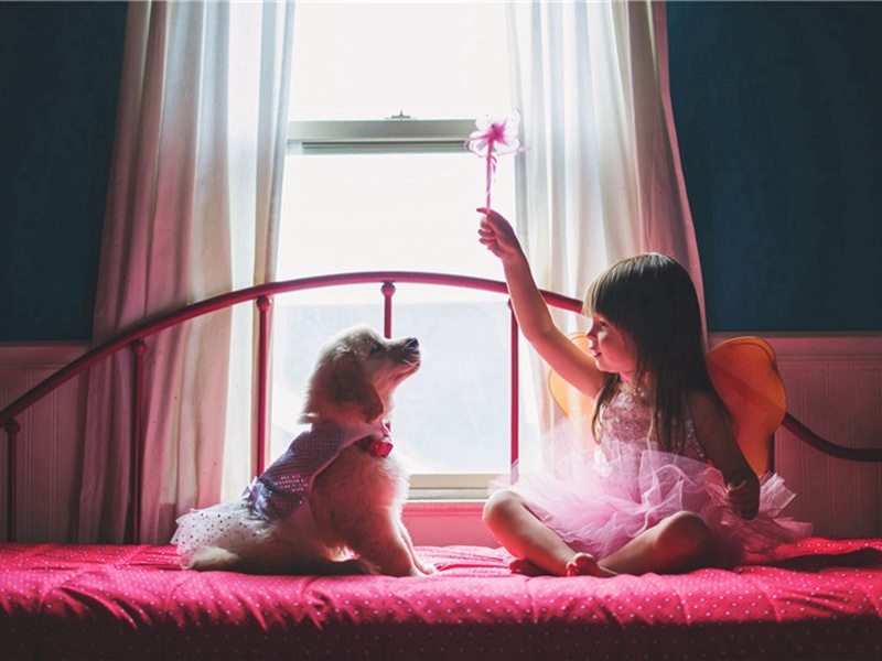 叮咛造句,叮咛怎么造句子(180句)