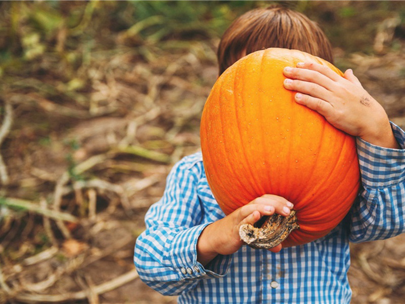 多以造句,用多以怎么造句子(180句)