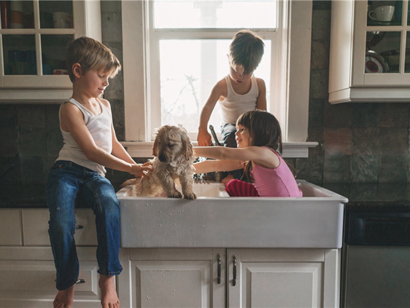 驱逐造句,驱逐怎么造句子(178句)