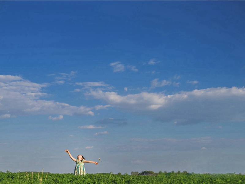 天南海北造句,天南海北怎么造句子(90句)