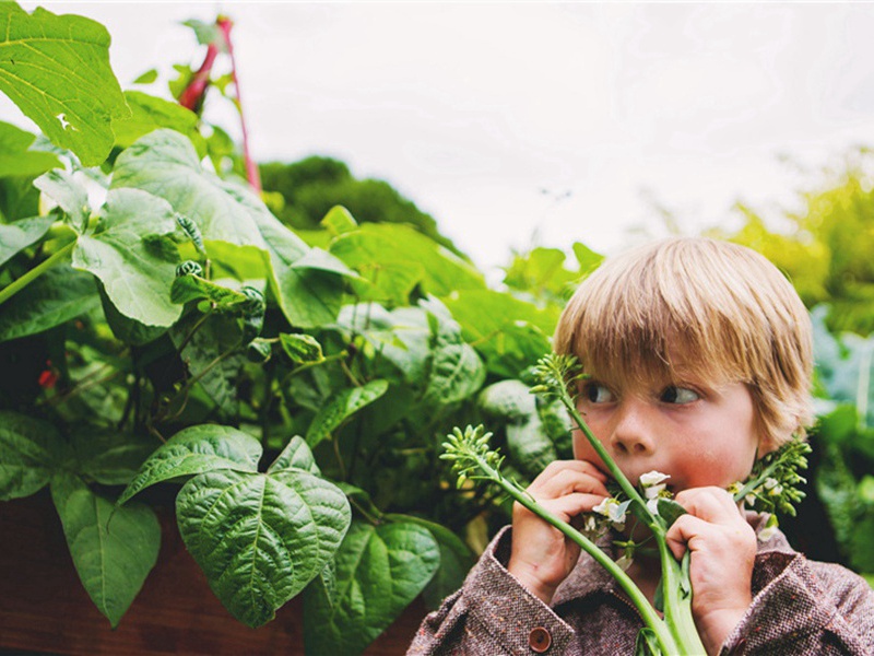 一气呵成造句,用一气呵成怎么造句子(150句)