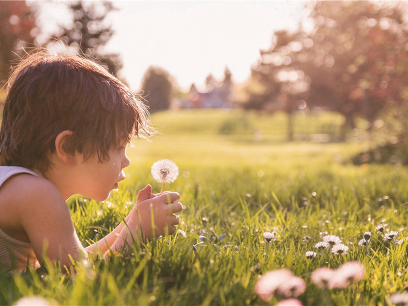 忠心耿耿造句,用忠心耿耿怎么造句子(118句)