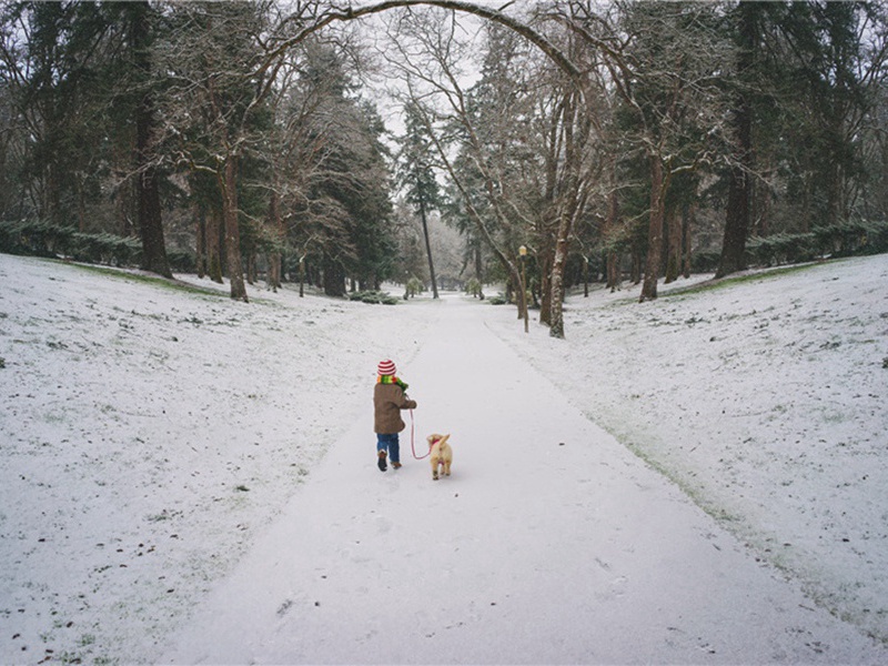 徐闻造句,用徐闻怎么造句子(34句)