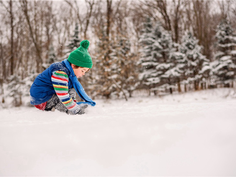 财务会计造句,用财务会计怎么造句子(24句)