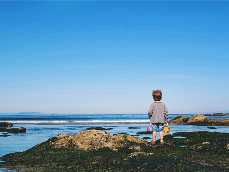 抽丝造句,用抽丝怎么造句子(81句)
