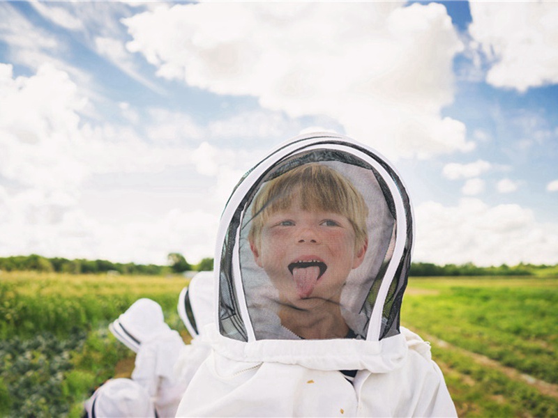 雾散造句,用雾散怎么造句子(115句)