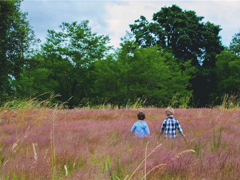 扑下造句,用扑下怎么造句子(41句)