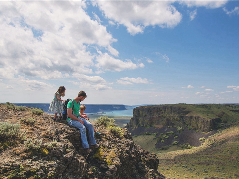 见机造句,用见机怎么造句子(108句)