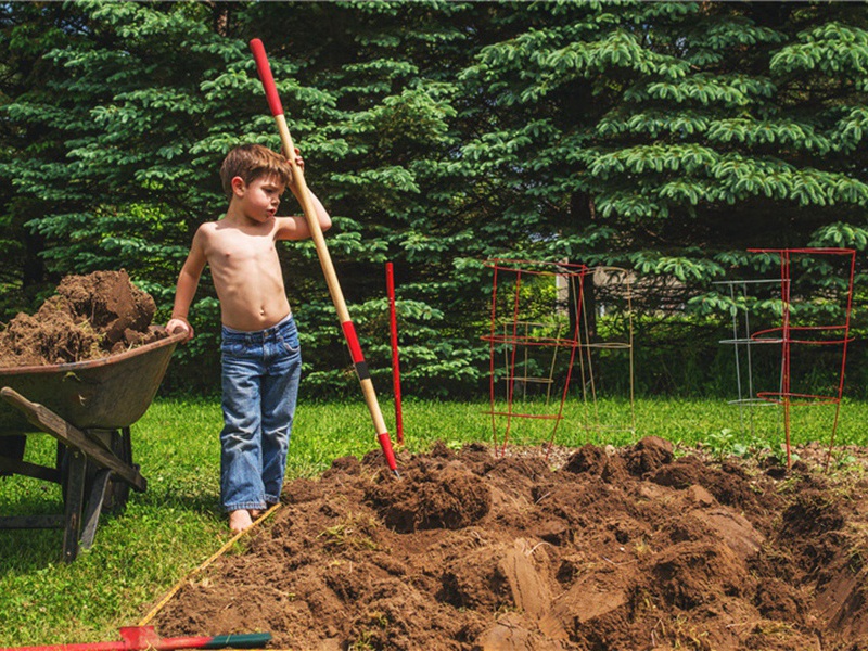 高速铁路造句,用高速铁路怎么造句子(86句)
