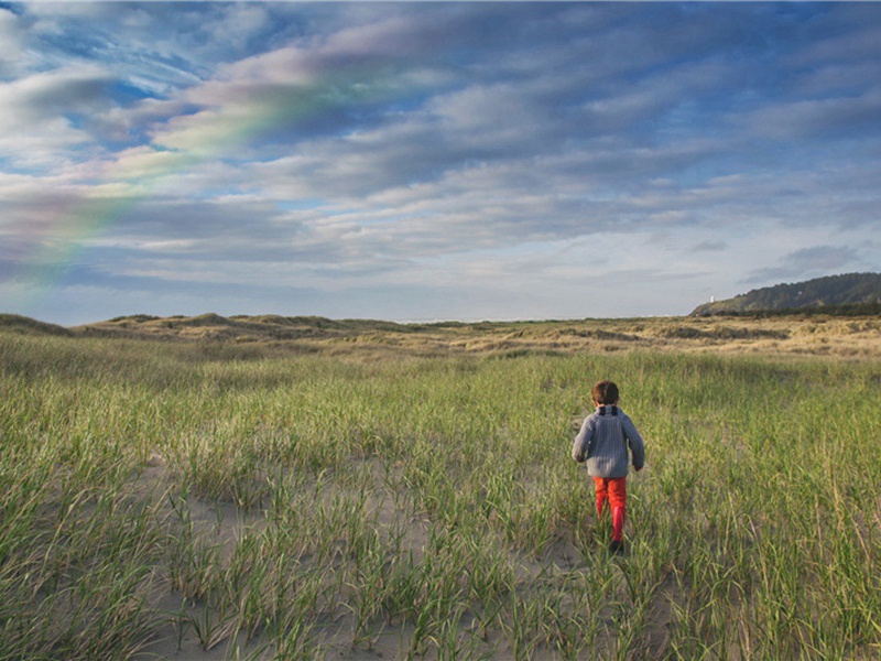 药理造句,用药理怎么造句子(180句)