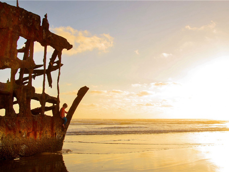 打扰造句,用打扰怎么造句子(180句)