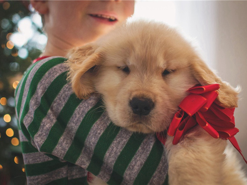 相告造句,用相告怎么造句子(180句)