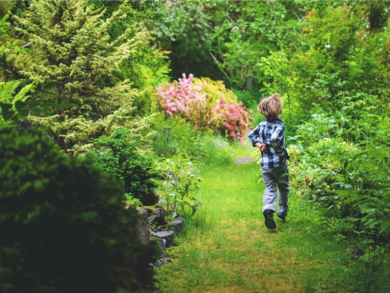 长生草造句,用长生草怎么造句子(20句)