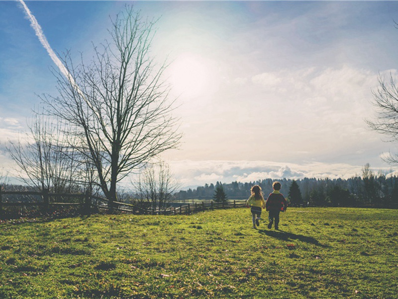 这让造句,用这让怎么造句子(179句)