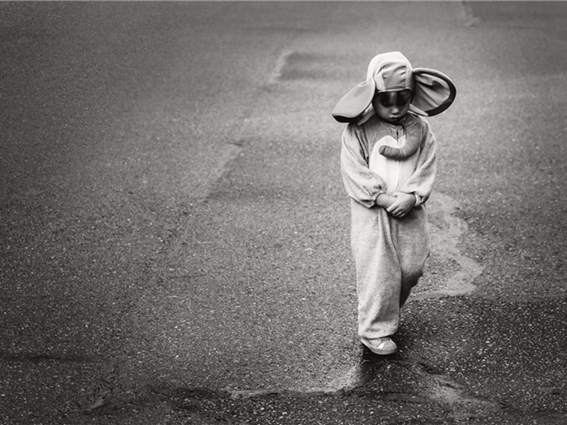 高超造句,高超怎么造句子(171句)