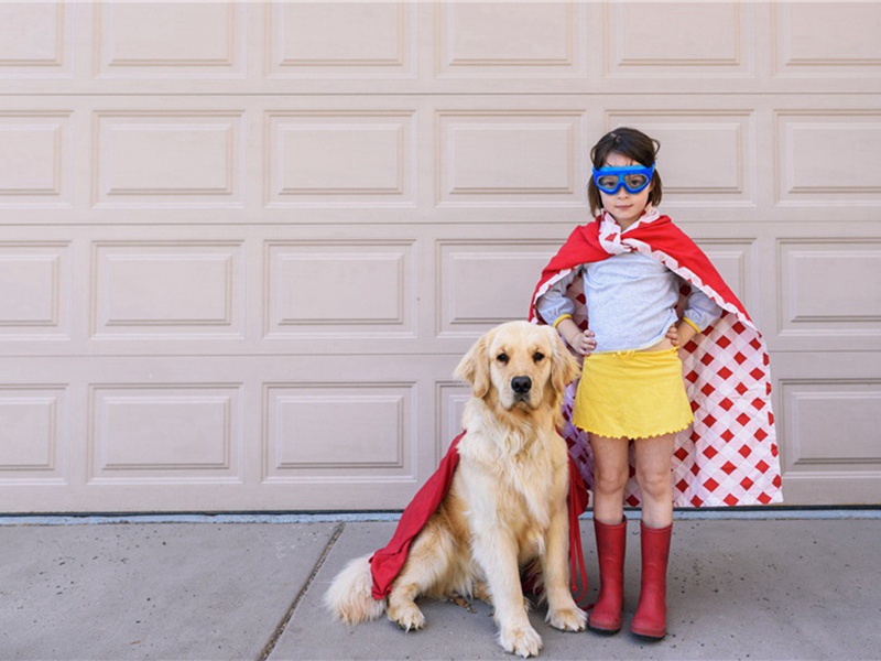 戴尔造句,用戴尔怎么造句子(107句)